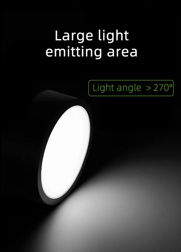 mini down light mini down light