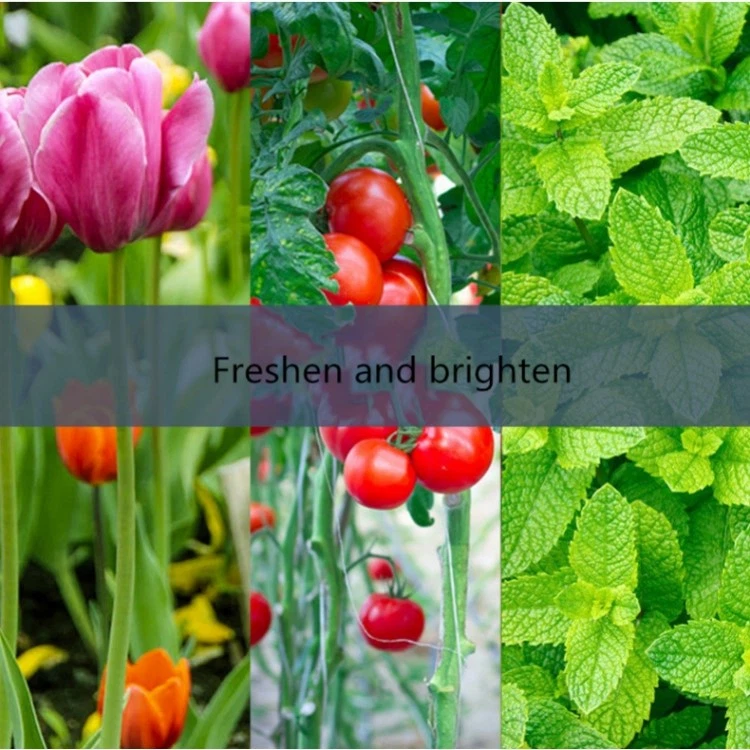 e27 led grow lights bulbs e27 led grow lights bulbs