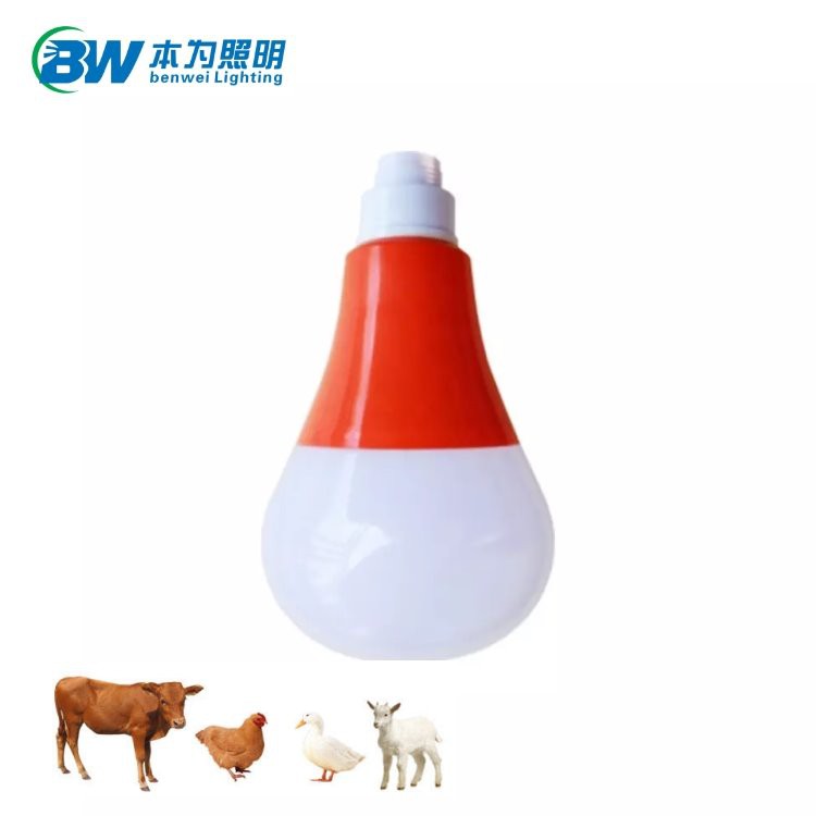 Hen House Light