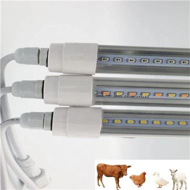 Piščančje luči za Coop