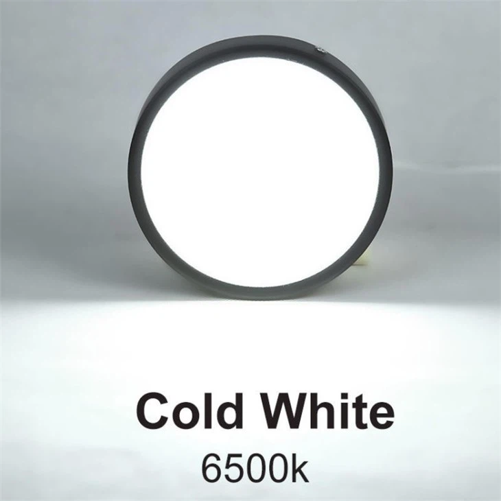 surface mounted downlight 6500k