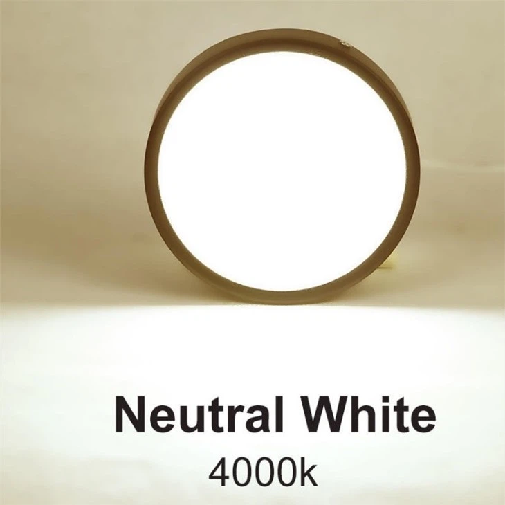 surface mounted downlight 4000k