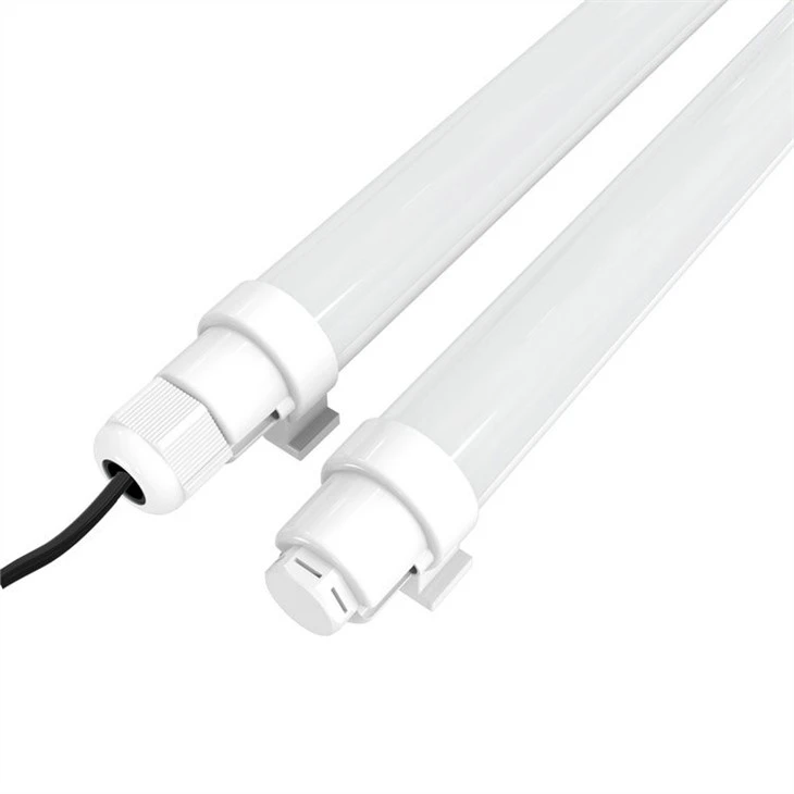 egg laying lights for chickens