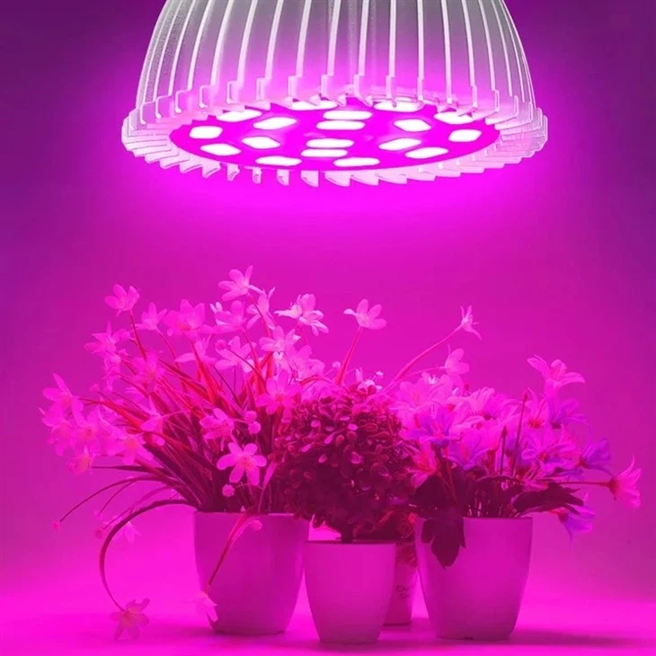 plant light bulbs for indoor plant