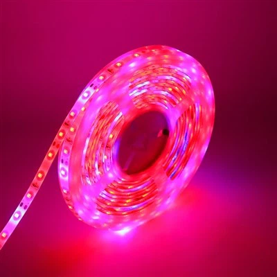 Prilagodljiv Rgb Led neonski svetlobni trak