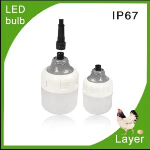 LED žarnica za perutninsko farmo