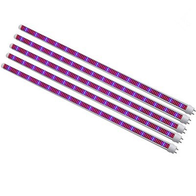 Polica za rastline z lučmi za rast