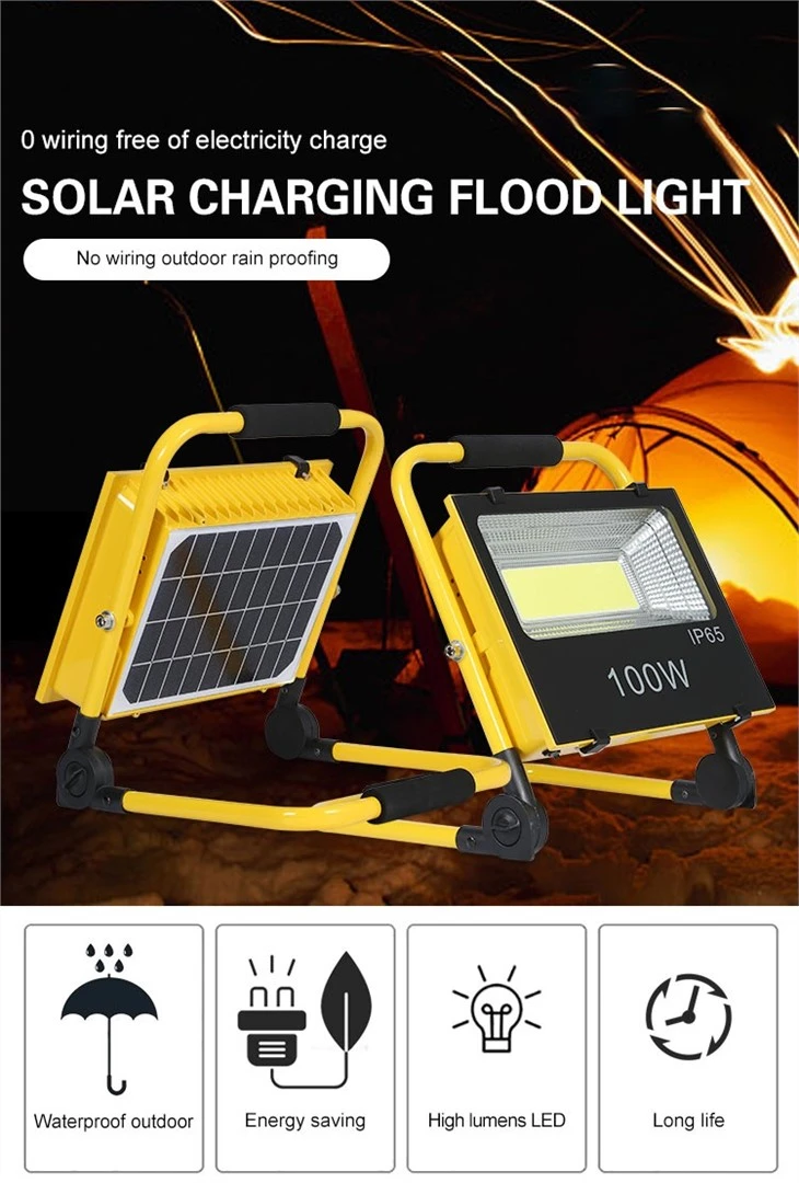 solar battery security light
