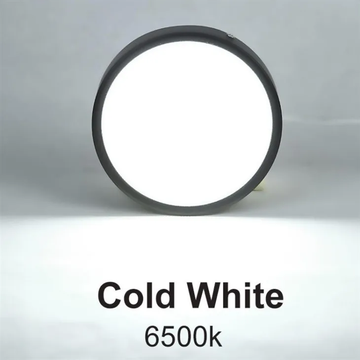 surface mounted downlight 6500k