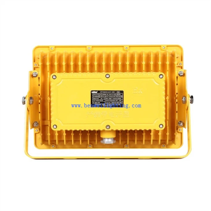 Floodlight explosion proof (2)