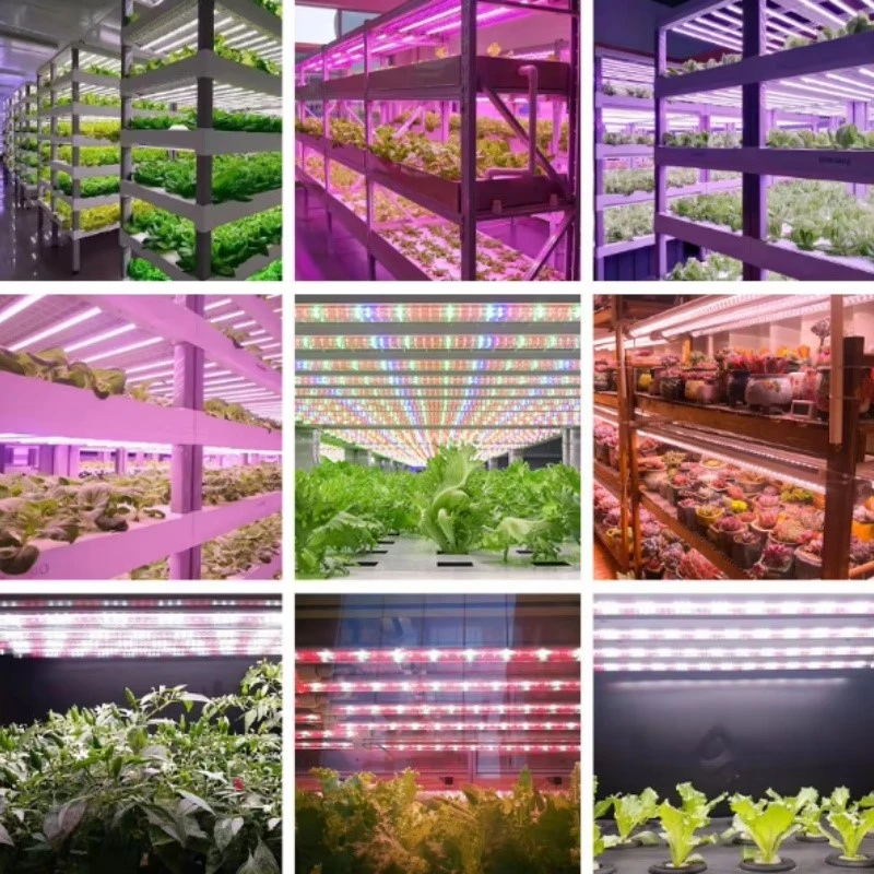 Integrated LED T8 UV Light Integrated LED T8 UV Light