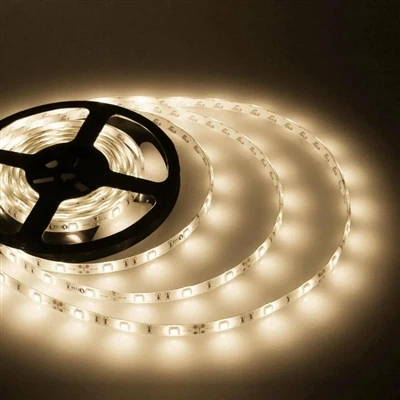 The Aesthetic Imperative in the Sustainable Future