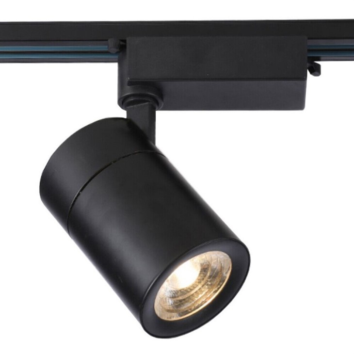 Pendant Track Light