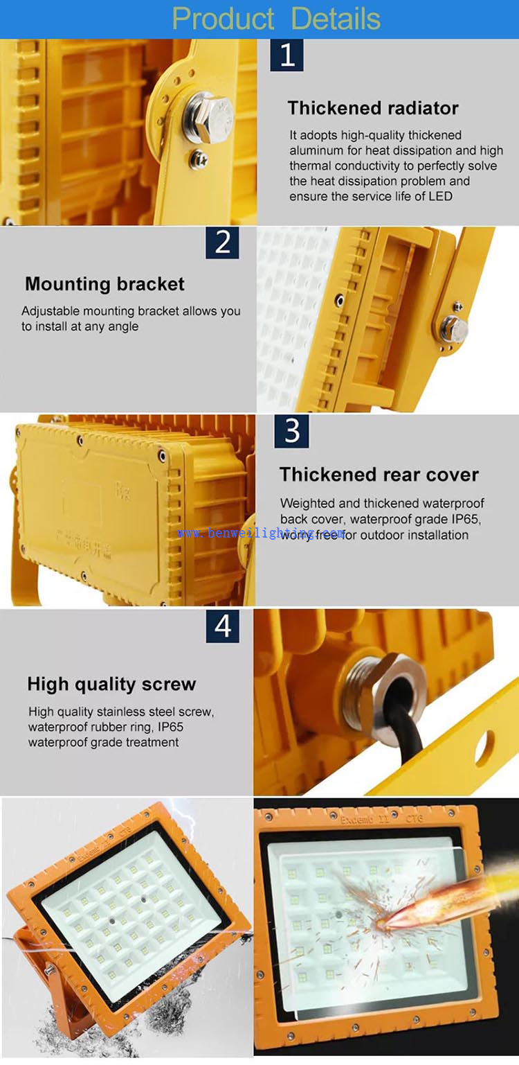 50W Professional Explosion-proof Lights detail 50W Professional Explosion-proof Lights detail