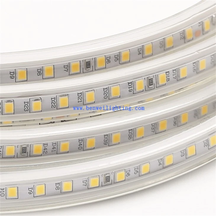 Rope lights (2)