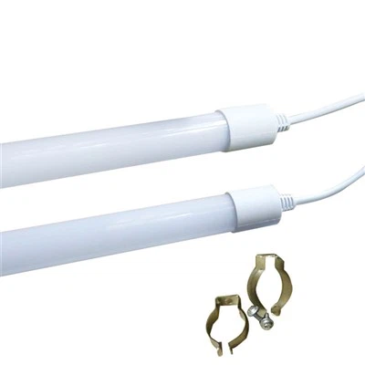 Ptica Brooder Svetloba