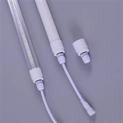 Chicken Light Z 0-12V 5400K 10W 20W