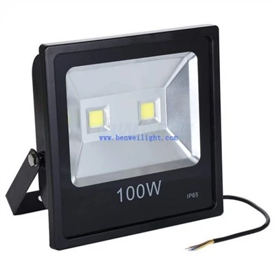 Vodoodporna zunanja reflektorska lučka Led Ip67 6900K