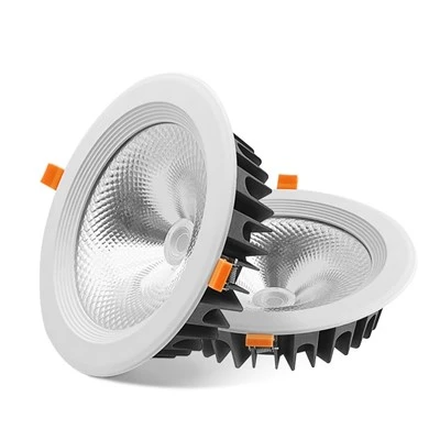 RGBW LED Downlight z več vhodnimi napetostmi